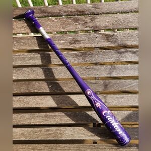 Easton SK25 Alloy Fastpitch Softball Bat (26")(16oz)(2 1/4")(-10)